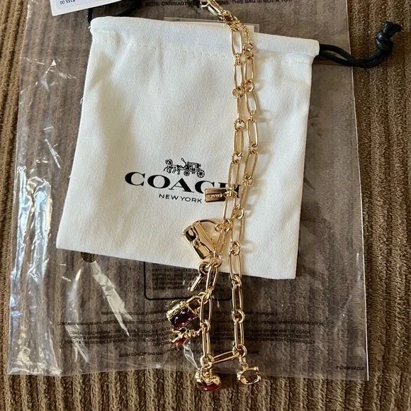 Coach Iconic Charm Chain Necklace nwt; sold out online - Picture 2 of 6